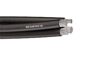 Alquiler de Accesorios